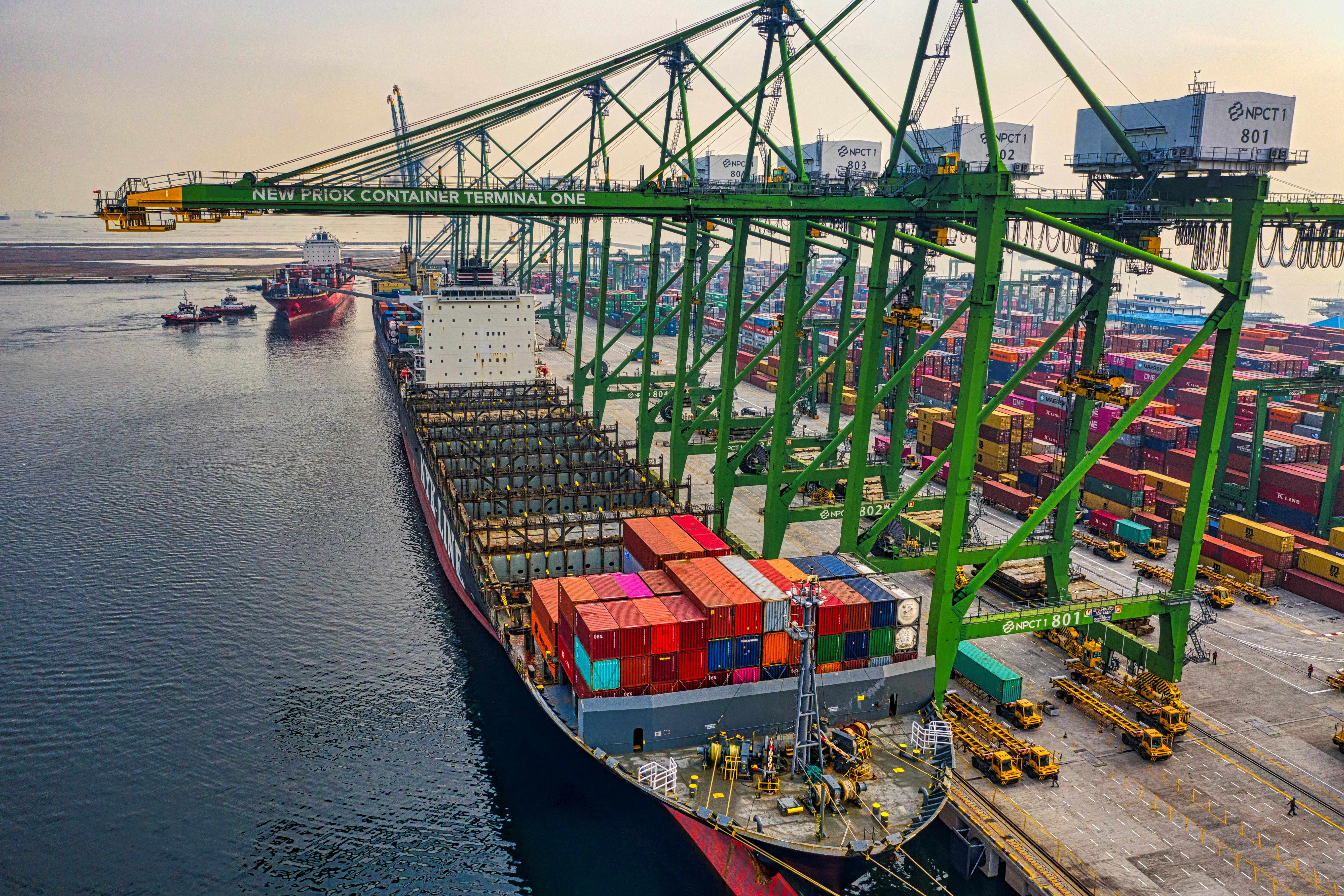 Import & Export Project 1